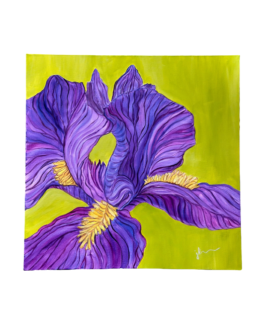 Jenn Leverett Art - Violet Iris on Chartreuse