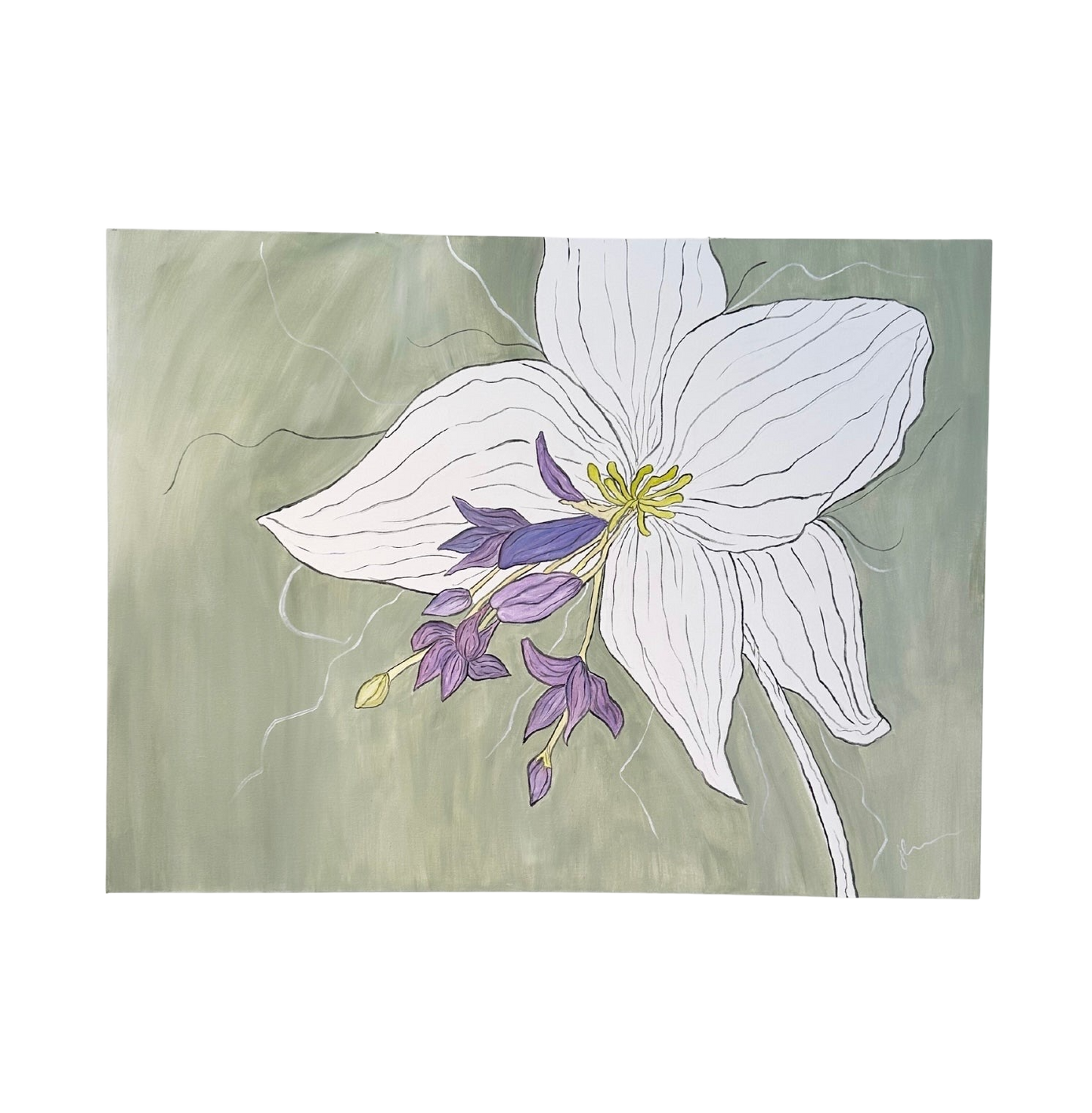 Jenn Leverett Art - Asiatic Lily