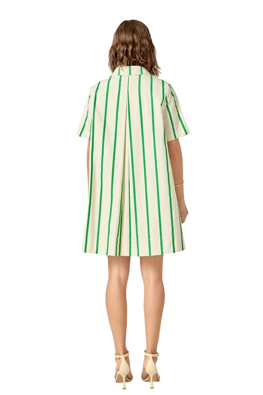 Striped Kaftan Mini Dress