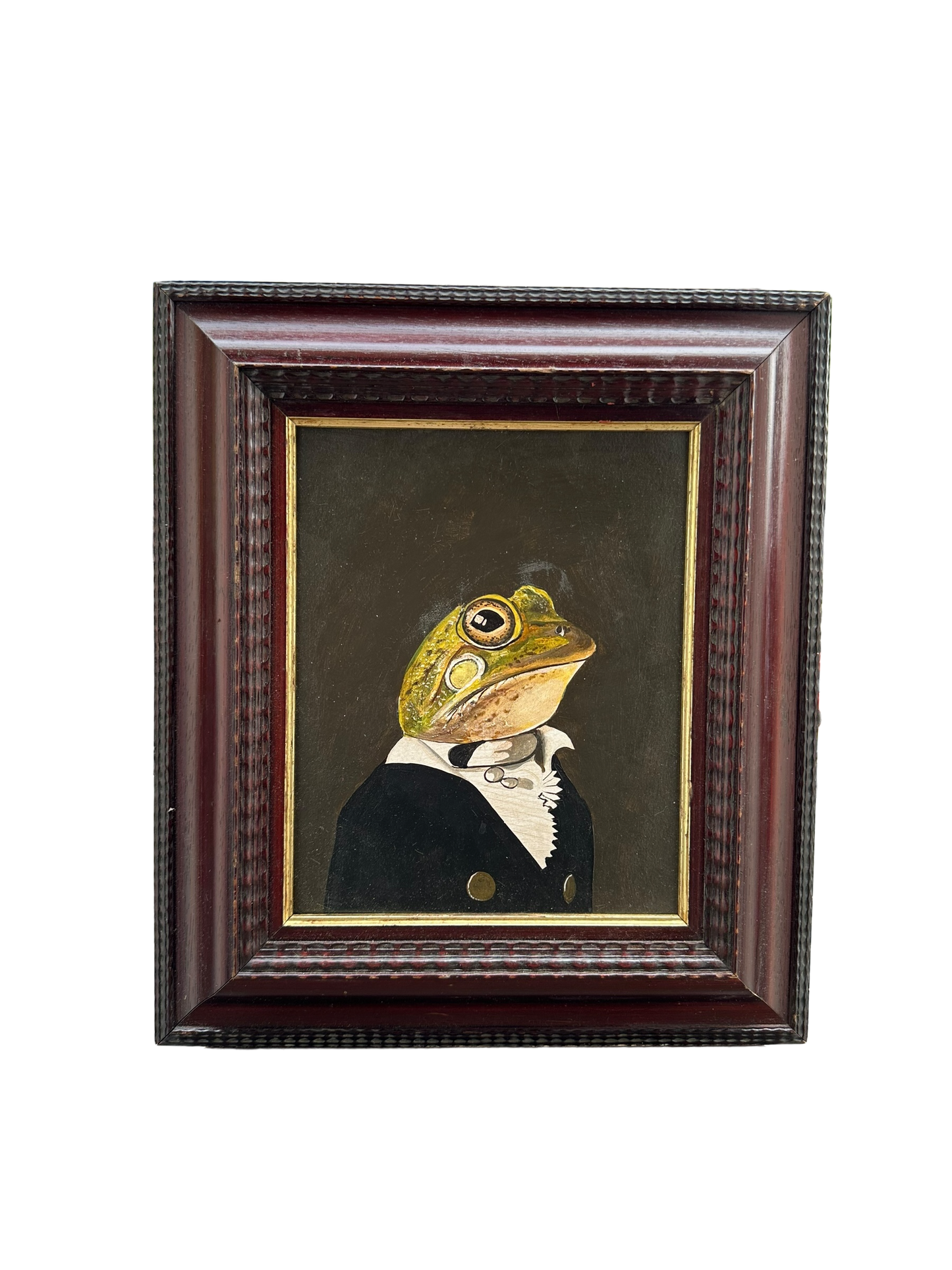 Frog in Tuxedo - Yuksel Sahin