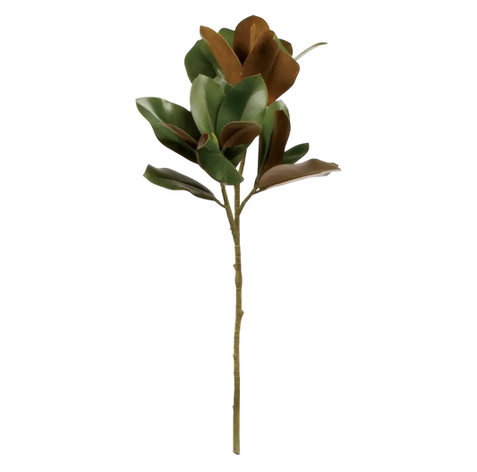 Grand Magnolia Leaf Stem 32"