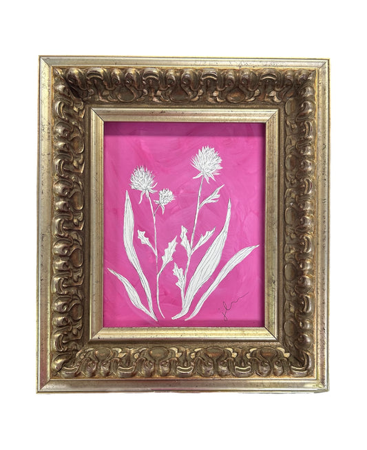 Jenn Leverett Art - Pink Clover Reverse Botanical Framed 8 x 10