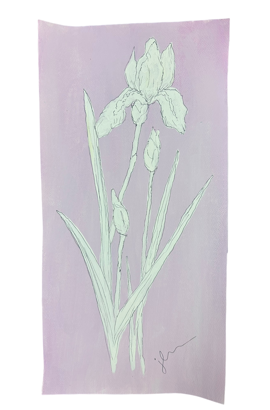 Jenn Leverett Art - Iris Reverse Botanical Unframed III