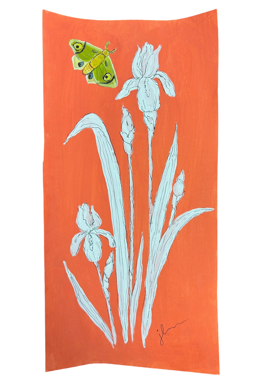 Jenn Leverett Art - Iris Reverse Botanical Unframed II