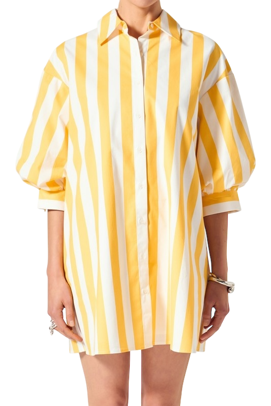 Big Stripe Shirt Dress