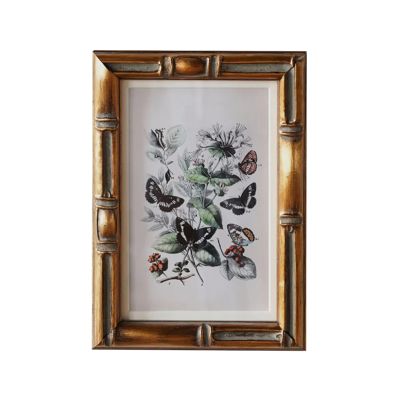 Burley Matted Frame