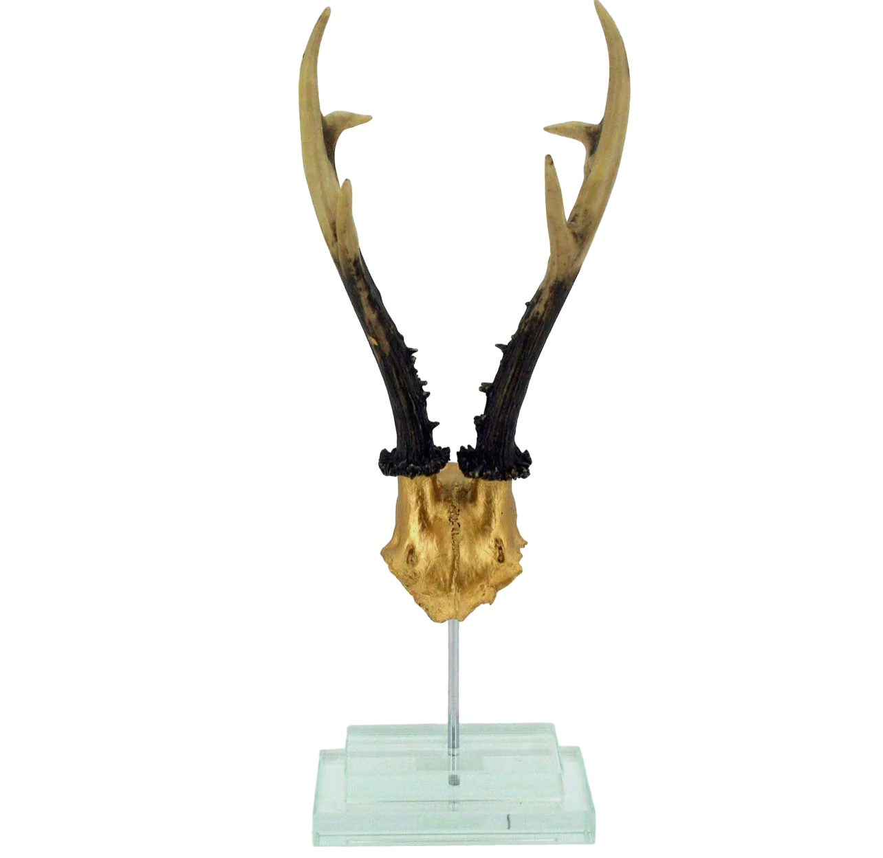 Standing Antler on Crystal Base