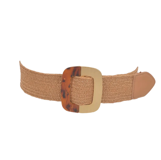 Gold and Tortoise Square Buckle Belt