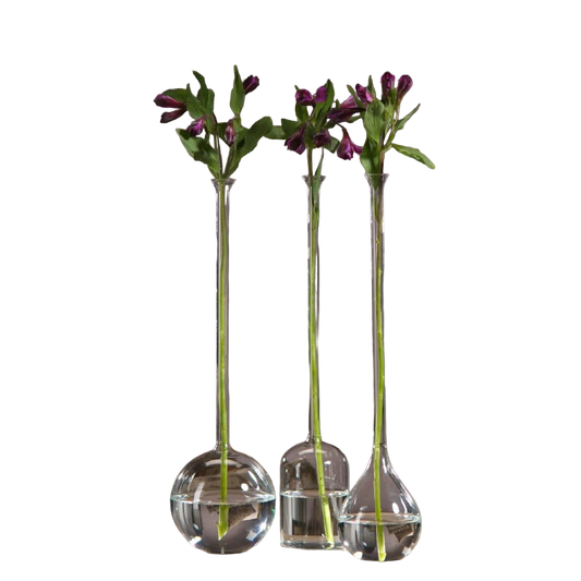 Long Neck Vases