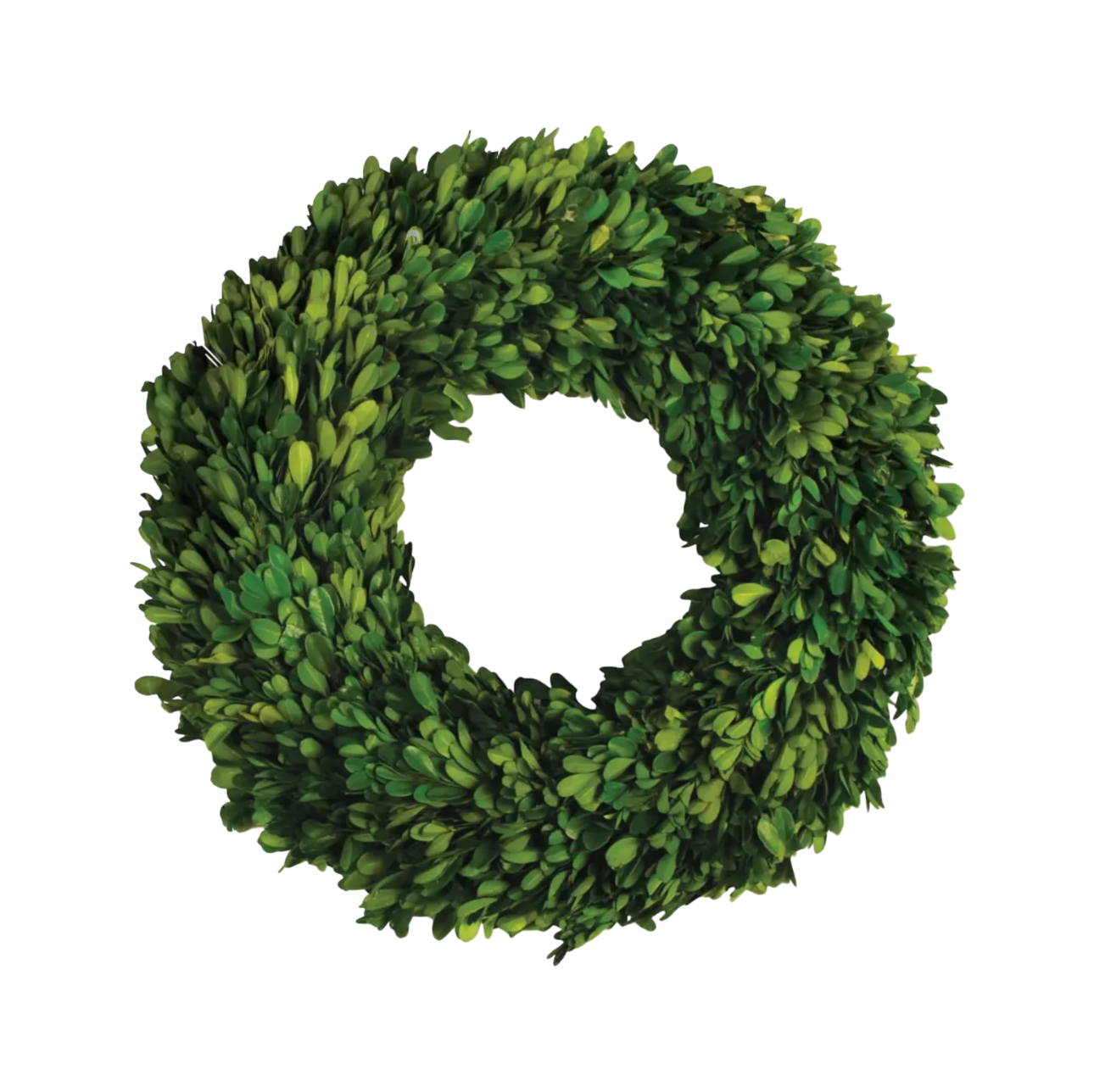 Boxwood Wreath 16"