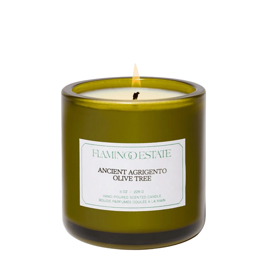 Ancient Agrigento Olive Tree Candle