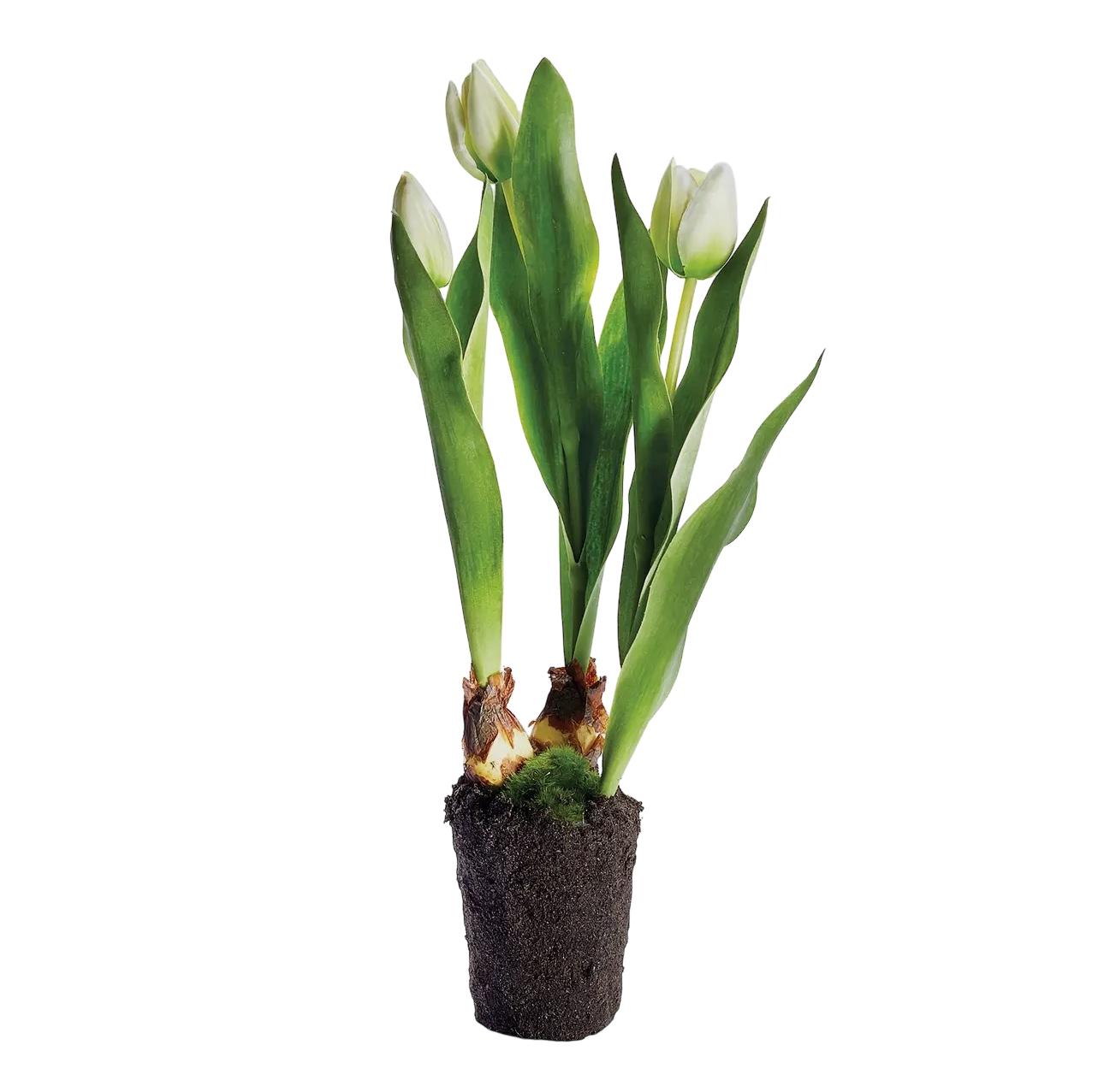 Tulip Drop-in 18” White