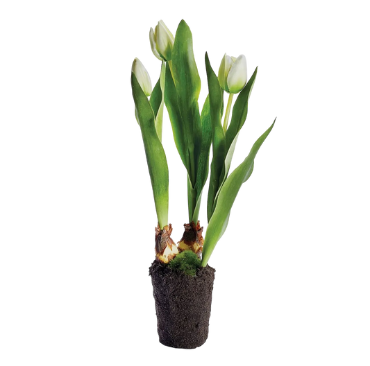 Tulip Drop-in 18” White