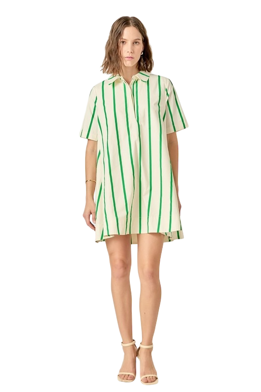 Striped Kaftan Mini Dress