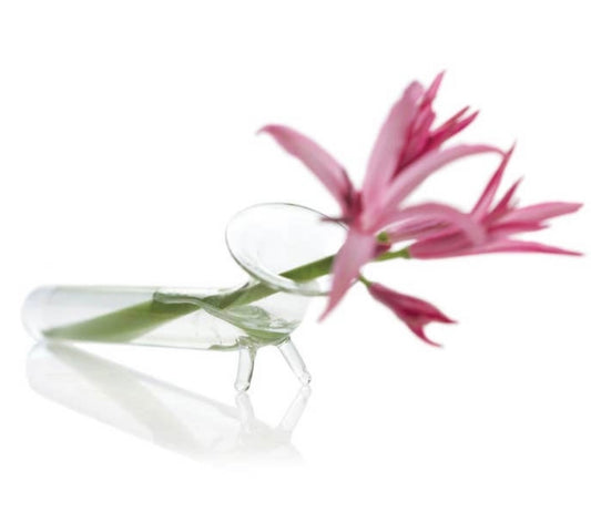 Clear Glass Bud Vases