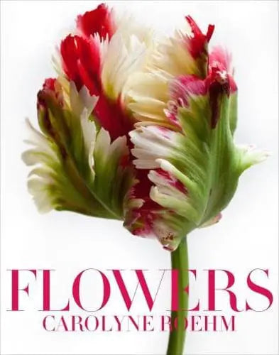 Caroline Roehm “Flowers”