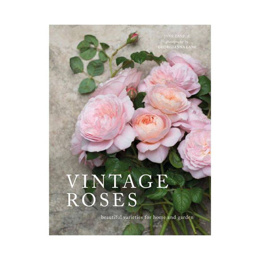 Jane Eastoe “Vintage Roses”