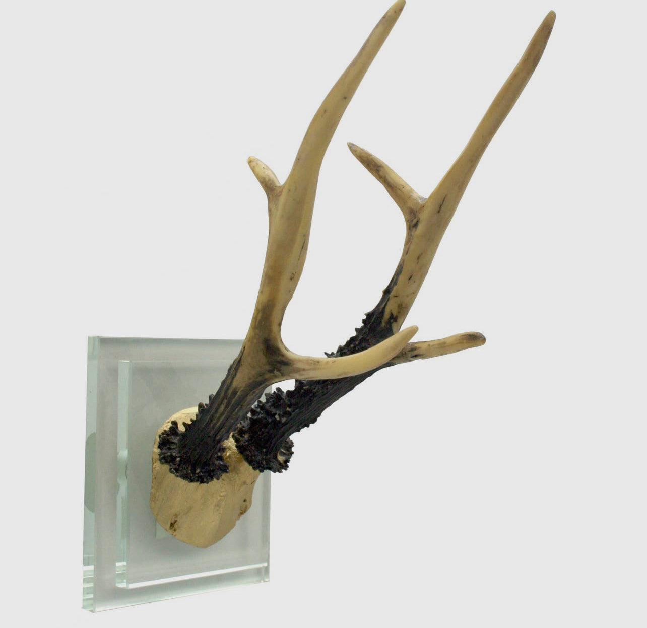 Crystal Wall Mount Antlers