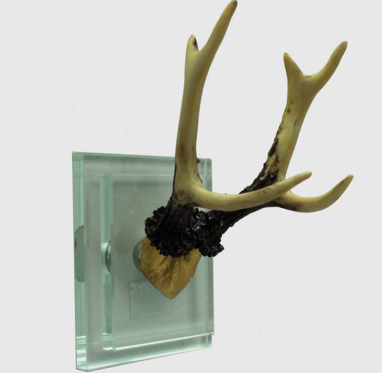 Crystal Wall Mount Antlers