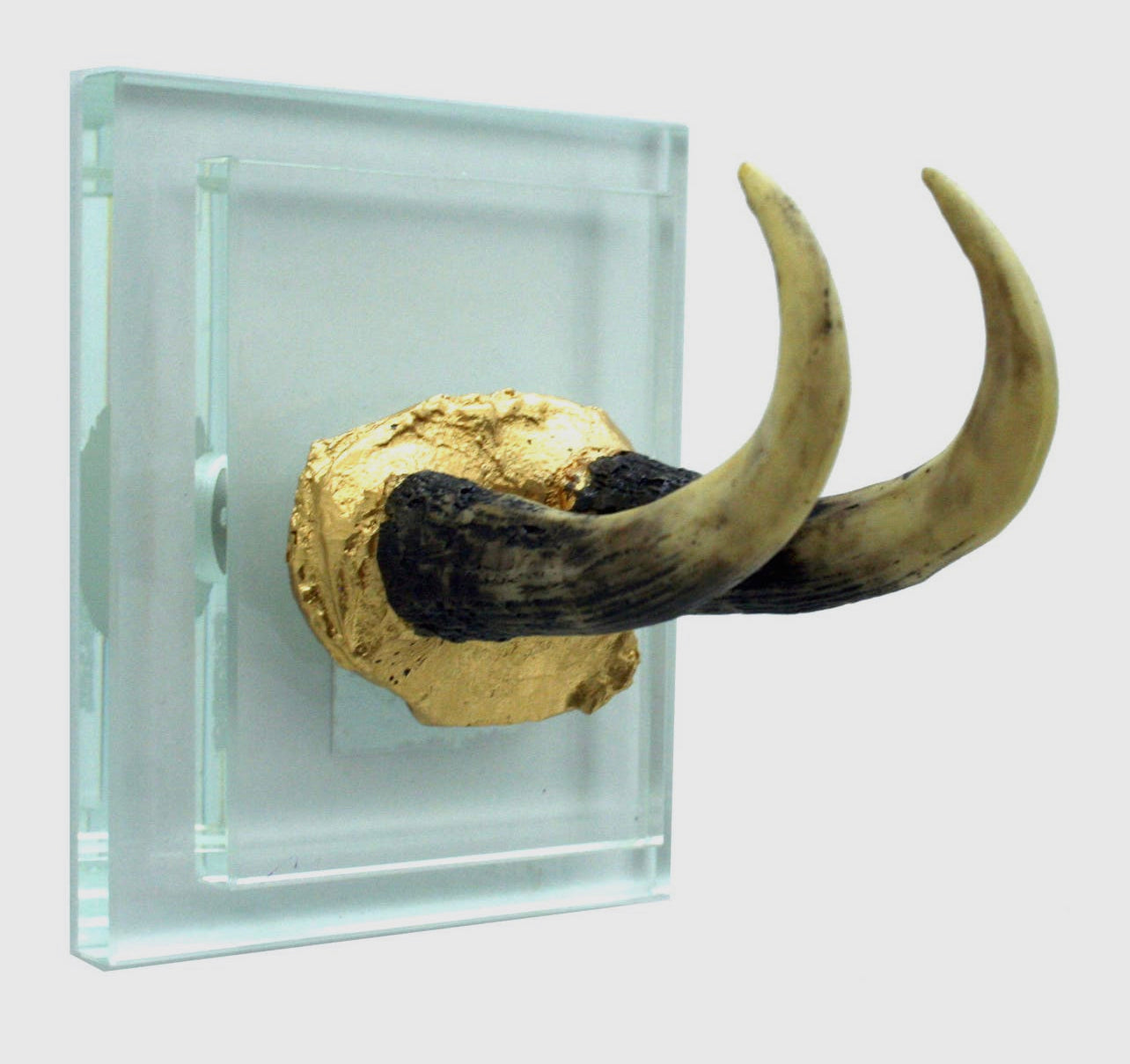 Crystal Wall Mount Antlers