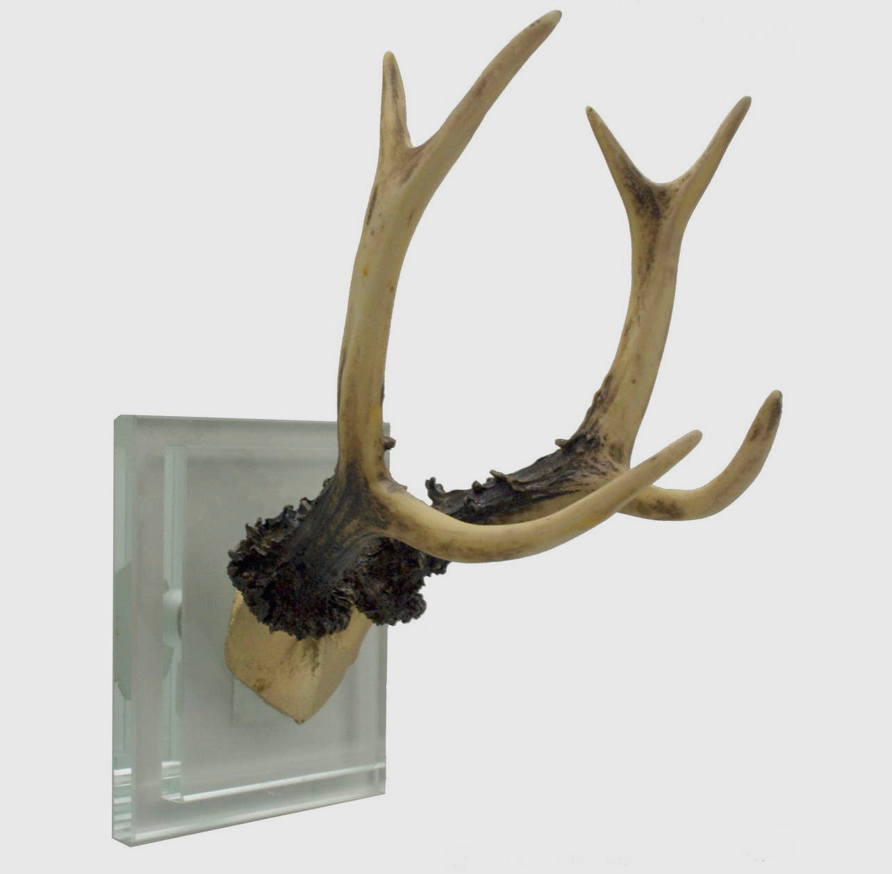 Crystal Wall Mount Antlers